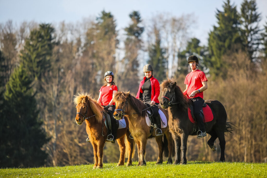 Rožnik Horse Riding Club