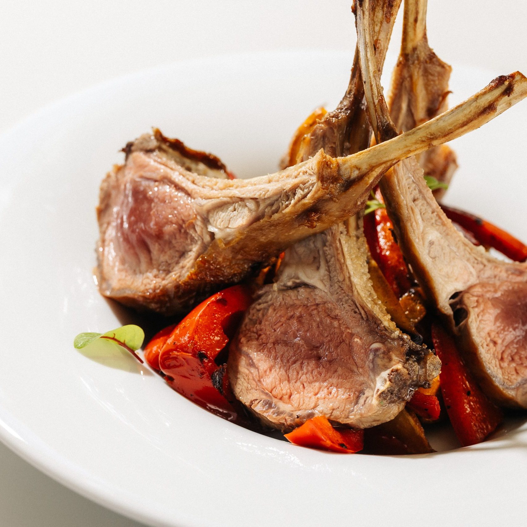 Hotel Bistro Cad maj 2022 – Photo Dean Dubokovic-119